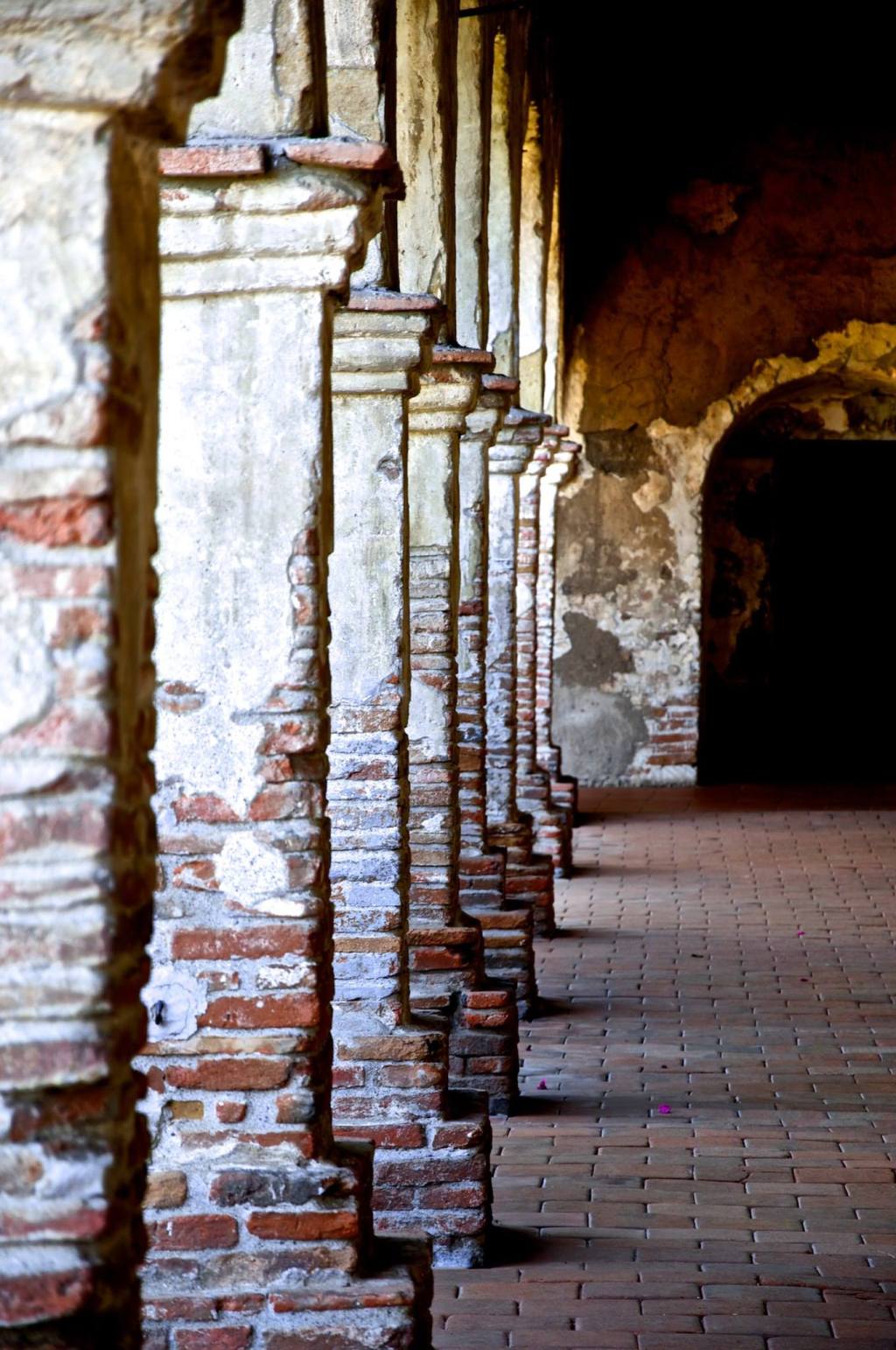 More in the Dental&nbsp;Chair