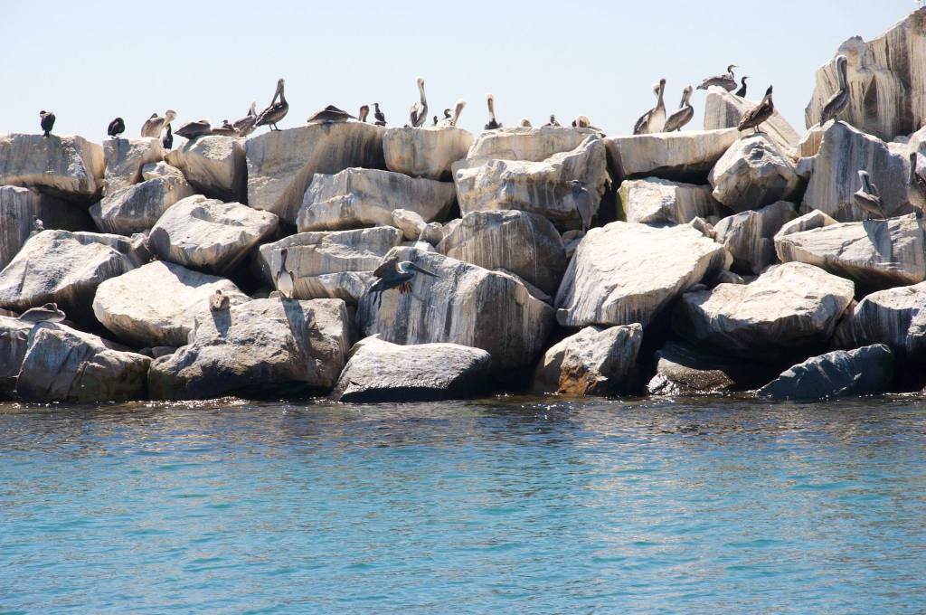 To React or To&nbsp;Respond?