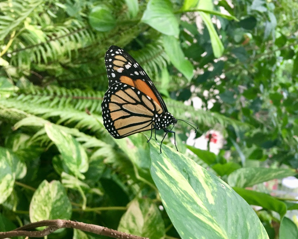 The Great ‘I Told You&nbsp;So’!