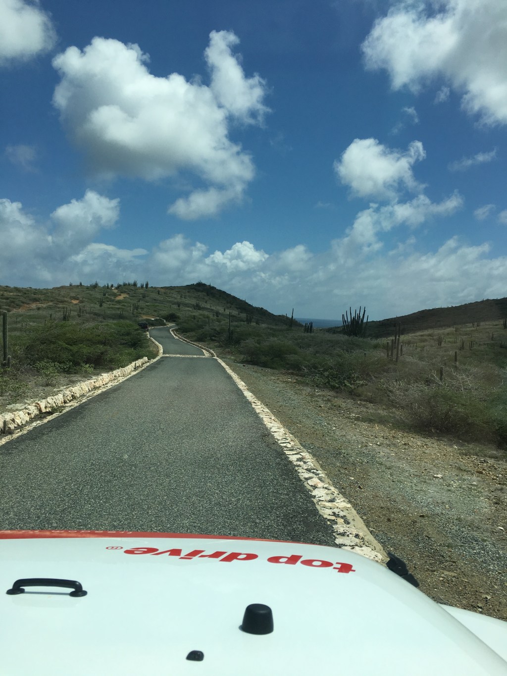 Pieces on the&nbsp;Path